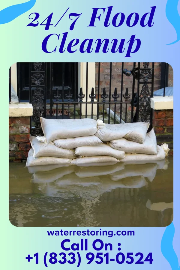 24/7 Flood Cleanup in Ridge Farm, IL