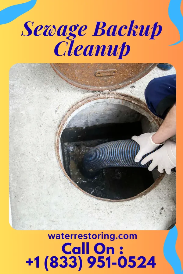 Sewage Backup Cleanup in Ridge Farm, IL