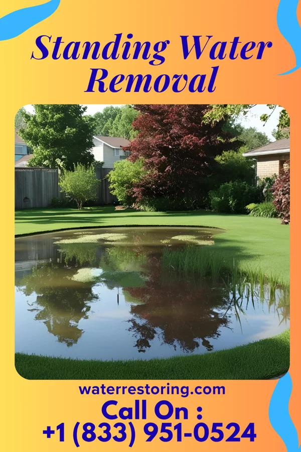 Standing Water Removal in Ridge Farm, IL